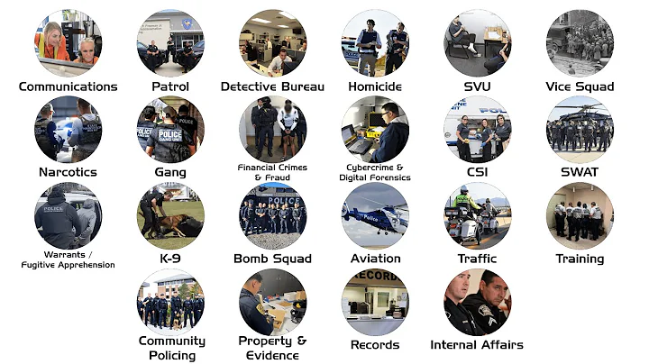 Every Common Police Unit Explained