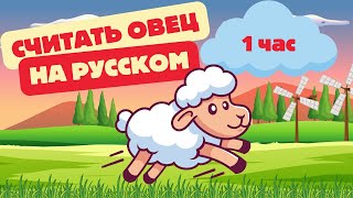 Считаем овец от 1 до 1000 на русском | Расслабляющее средство для сна при бессоннице (RU)