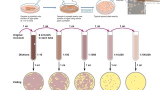 immunology made ridiculously simple pdf free download