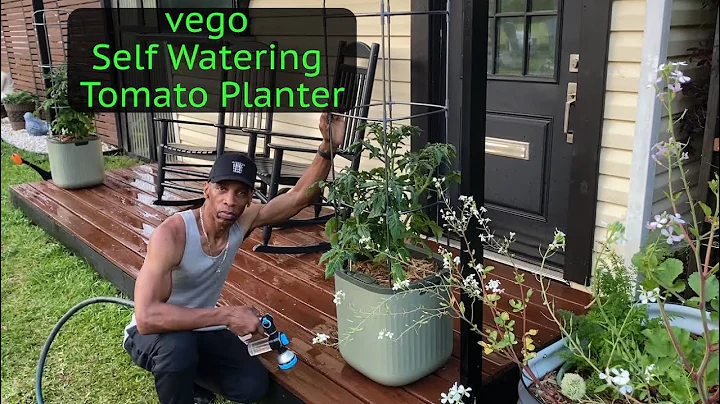 VEGO Rolling Self Watering Patio Planter with Trellis