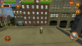 Pigeon Game Android/IOS Gameplay screenshot 5