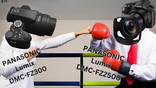 Panasonic FZ300 vs. FZ2500 The Gloves are off!
