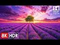 Unseen Wonders of Earth | 8K HDR Dolby Vision (120FPS ULTRA HD)