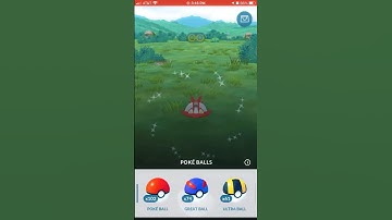 Shiny wimpod and deddene | SPACE