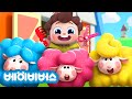 매애 매애 양털을 깎아요 | 예쁜 색깔 양 | 동물 동요 | 예스 네요! | 베이비버스 인기동요 | BabyBus