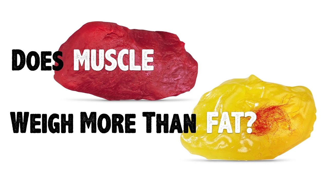 Just STRESSless - DOES FAT WEIGH MORE THAN MUSCLE? There's a