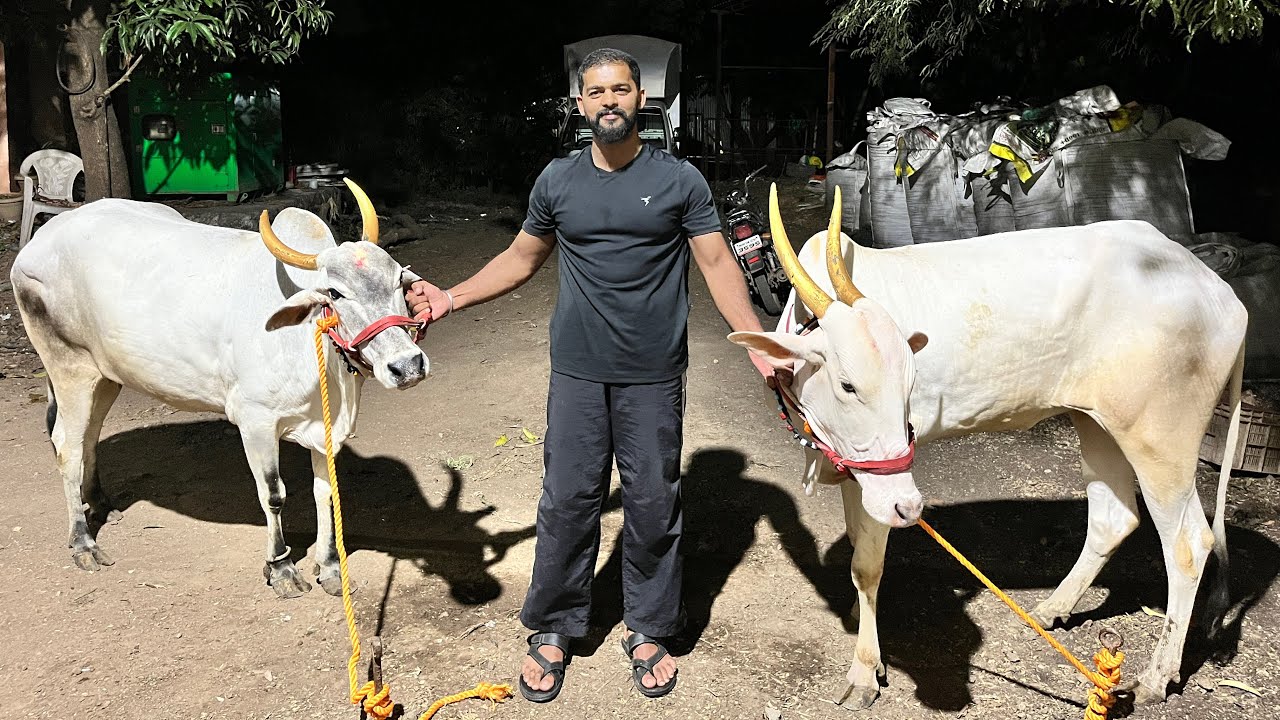 22 October 2025 मी एक दूधवाला आहे. माझ्या रोजच्या दिनचर्येचा हा ब्लॉग आहे. 