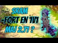 Le sram devenu nul a cause de la maj 271 