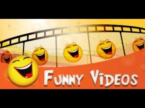 Funny-Videos: Frischetest(Katze &