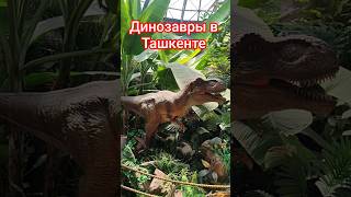 Динозавры в Ташкенте #ташкент #зоопарк#узбекистан
