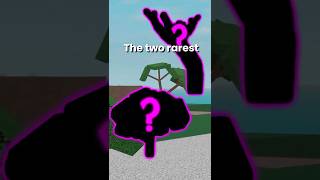 How I Find The Rarest Trees