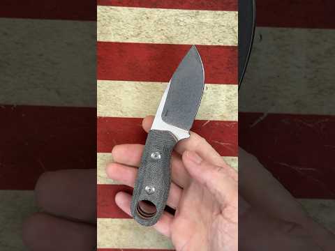Kizer Beaver.