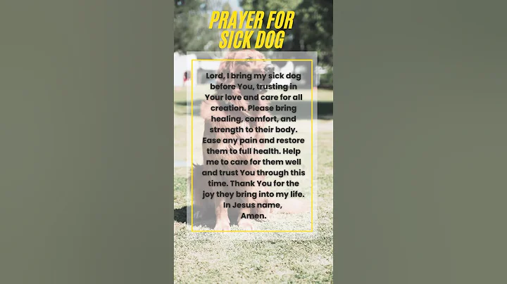 Praying for a sick dog - prayer for healing pet #praying