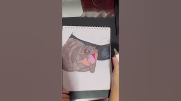 drawing cute moo deng in my sketchbook 🦛 #moodeng #hippo #art #shorts