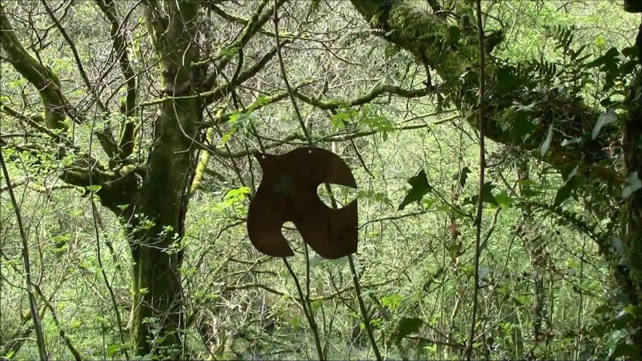 Sound Memories Radio: Bhakti Birds