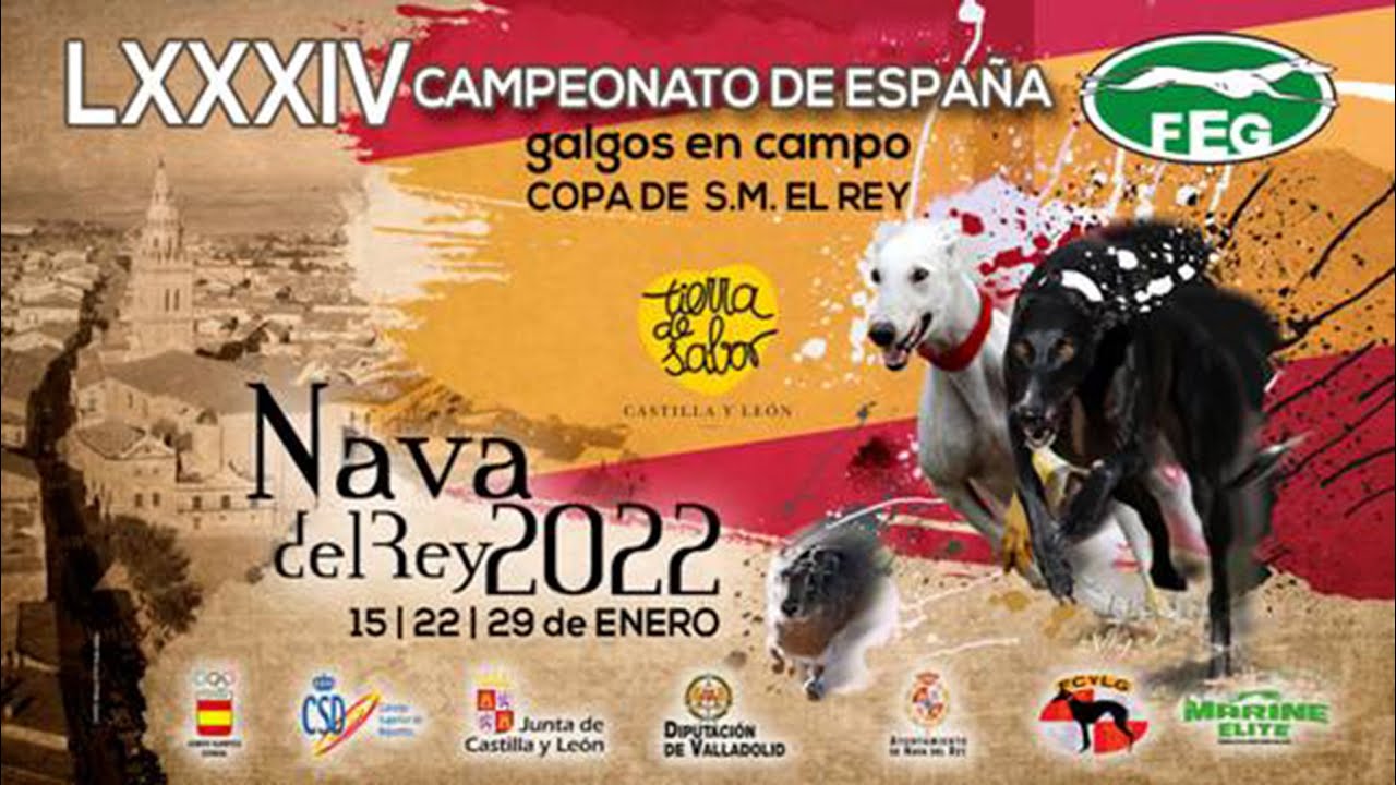 Los mejores momentos de las Semifinales 