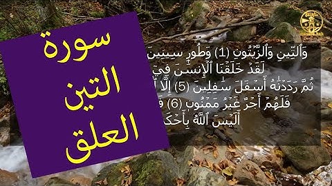 ترتيل خاشع لسورتي التين والعلق | تلاوة تهز القلوب بصوت نقي وهادئ