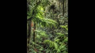 Lo Fi Tunes To Awaken Creativity During Study Sessions