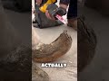 EXTREME Horse Hoof Restoration! 😱 #shorts