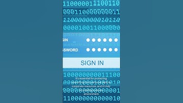 The Role of Authorization in Cybersecurity