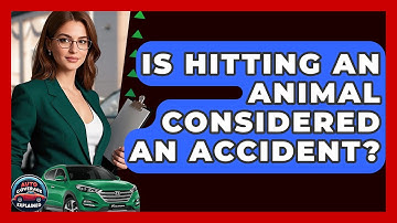 Is Hitting An Animal Considered An Accident? - Auto Coverage Explained