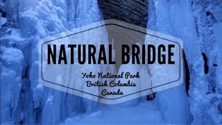 Natural Bridge Ice Walk in Winter | Yoho National Park | British Columbia, Canada | StepHenz Vlogs