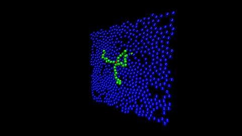 Flow-induced translocation of a five-arm star polymer.