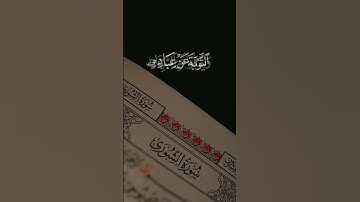 القارئ سعد الغامدي #quran