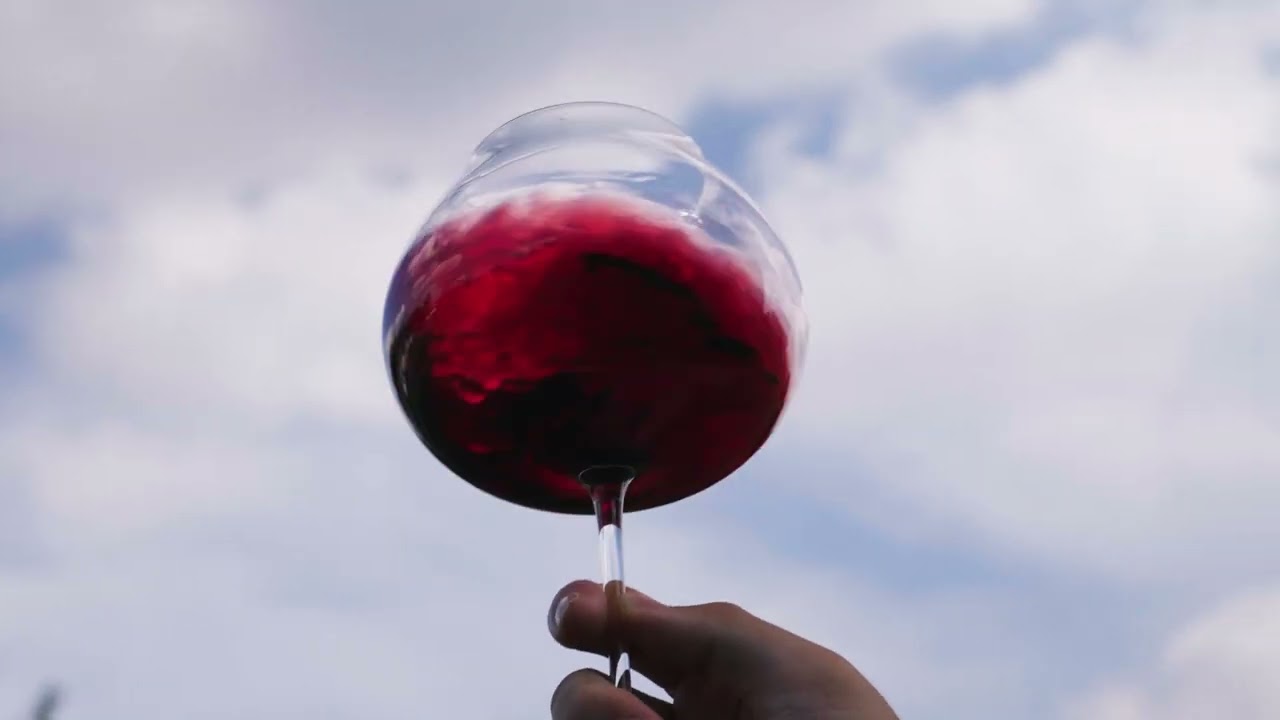 Chateau La France Garros Official Brand Video by Vino-H