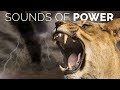 Sounds of power  the most powerful epic background music fors