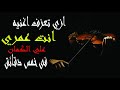 تعليم عزف اغنية انت عمري نوته حرفيه مع رمضان السيد