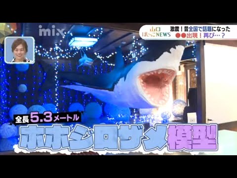 旅するサメポラロイド風写真 こだわりはどんどん強く…今年も巨大サメが出現 もはや夏の風物詩