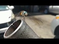 Jw burrell invented iphone gets 4k uof dragonfly inches away on car jack handle