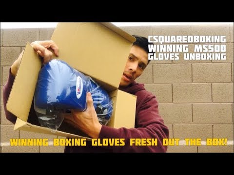 WINNING MS-500 Boxing Gloves- UNBOXING AND FIRST LOOK! - YouTube
