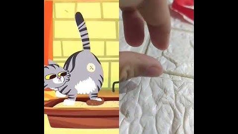 cat poop🤮🤮🤮🤮 #catpoop  #eww