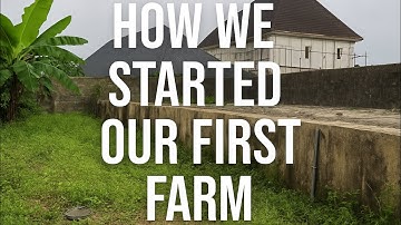 IF YOU WANT TO START FISH FARMING AVOID THIS MISTAKES THAT I MADE WHEN I STARTED 