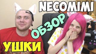 DILLERON в ушках Necomimi РЖАКА!!!!