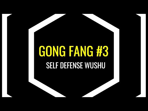 GONG FANG #3 COUP DE POING DROIT AU CORPS