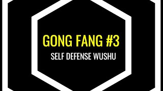GONG FANG #3 COUP DE POING DROIT AU CORPS