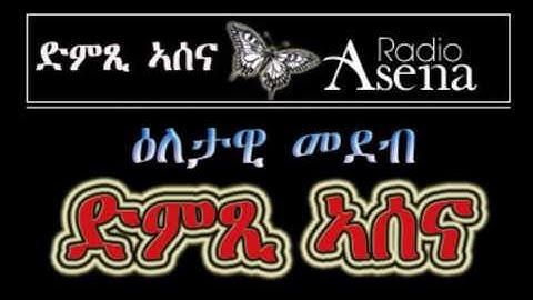 Voice of Assenna: Panel Discussion on the past 25 years of Eritrea