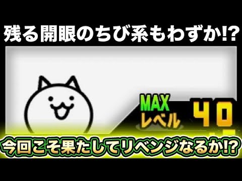 ちびねこ　準備中 maxresdefault.jpg