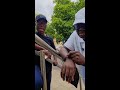 London Afternoon Walk With Billionaire Cosmas Maduka London Afternoon Walk With Billionaire Cosmas Maduka