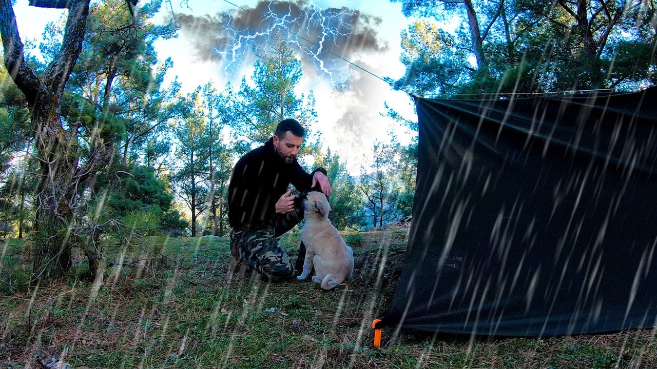 Camping in Heavy Rain • Rainstorm and Thunderstorm - Relaxing Sound of ...