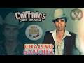 Chalino Sánchez - Lo Mejor de "El Rey del Corrido" 👑