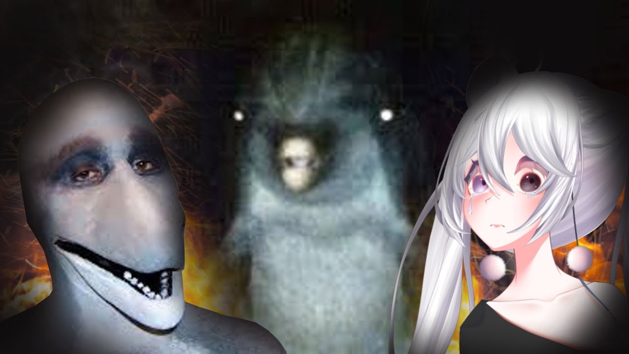 Виртуальный блогер узнает, почему дельфины — ЗЛО! | Casual Geographic