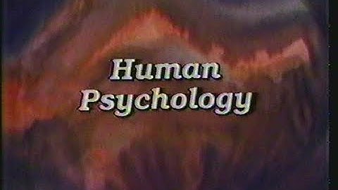 Understanding Human Behavior - Human Psychology (Ep. 1 of 30)