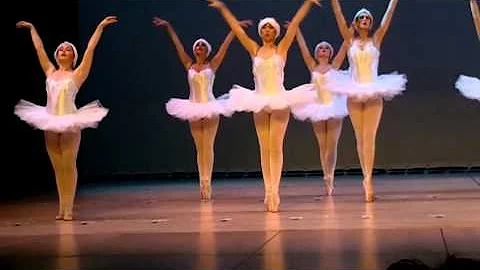olivia tess vaughn-flam swan lake ballet
