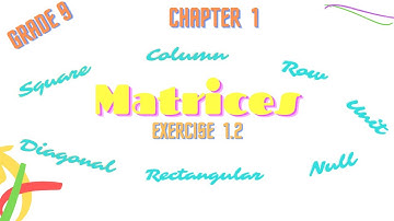 Matrices & Determinants | Chapter 1|  Exercise 1.2| PTB  | Part 1 |Explanation of Types Of Matrices.