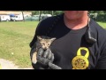 Police and fire department saving a kitten that was stuck in a storm drain