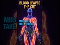 Anxiety | Your Body Goes to War When You Feel Anxious l Emergency | The Science Explained | Shocking